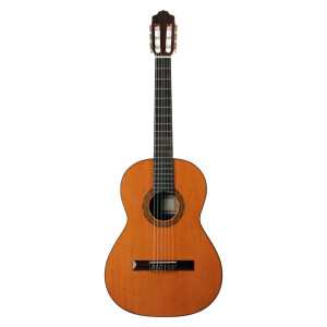 Esteve Guitar 3st63 7/8 Cedar Top